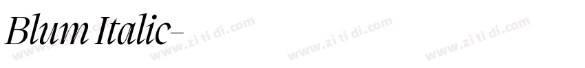 Blum Italic字体转换